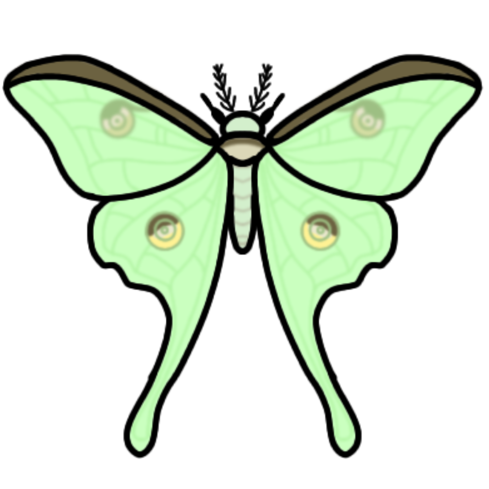 A luna moth from a view where you can see its wings spread out.